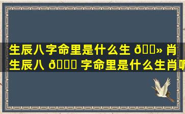 生辰八字命里是什么生 🌻 肖「生辰八 🍁 字命里是什么生肖呢」